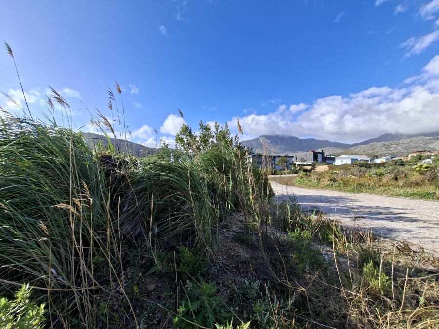 0 Bedroom Property for Sale in Pringle Bay Western Cape